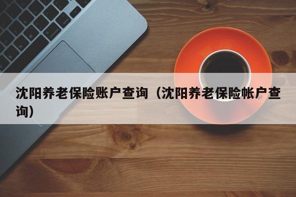 沈阳养老保险账户查询（沈阳养老保险帐户查询）