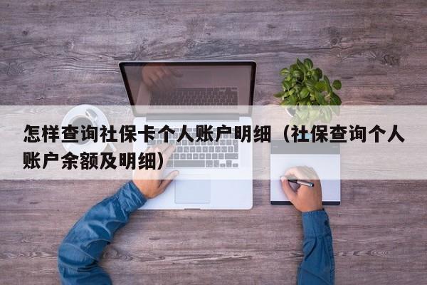 怎样查询社保卡个人账户明细（社保查询个人账户余额及明细）