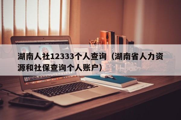 湖南人社12333个人查询（湖南省人力资源和社保查询个人账户）