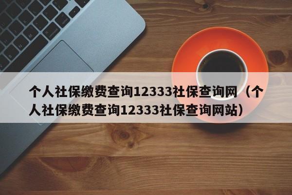 个人社保缴费查询12333社保查询网（个人社保缴费查询12333社保查询网站）