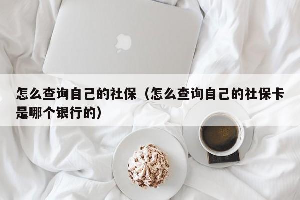 怎么查询自己的社保（怎么查询自己的社保卡是哪个银行的）