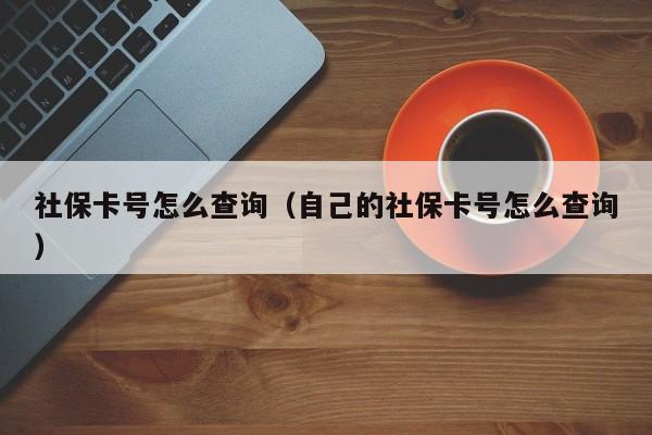 社保卡号怎么查询（自己的社保卡号怎么查询）