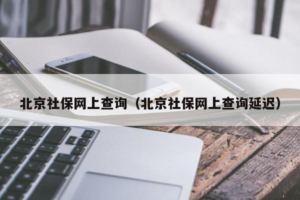 北京社保网上查询（北京社保网上查询延迟）