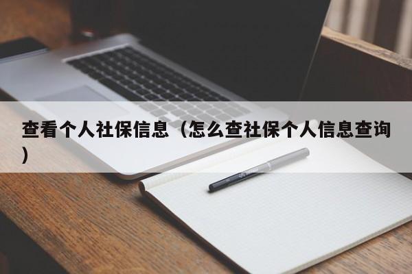 查看个人社保信息（怎么查社保个人信息查询）