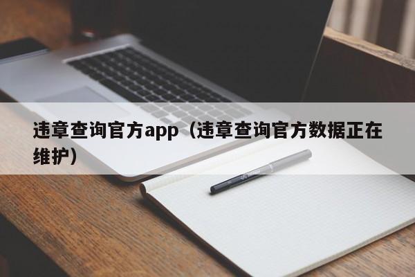 违章查询官方app（违章查询官方数据正在维护）