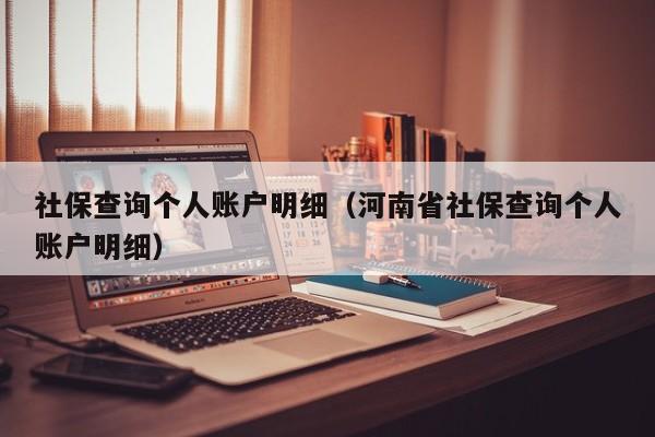 社保查询个人账户明细（河南省社保查询个人账户明细）