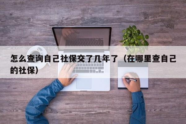 怎么查询自己社保交了几年了（在哪里查自己的社保）