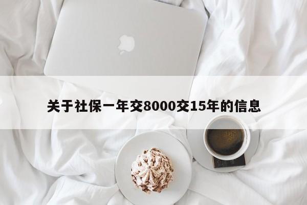 关于社保一年交8000交15年的信息