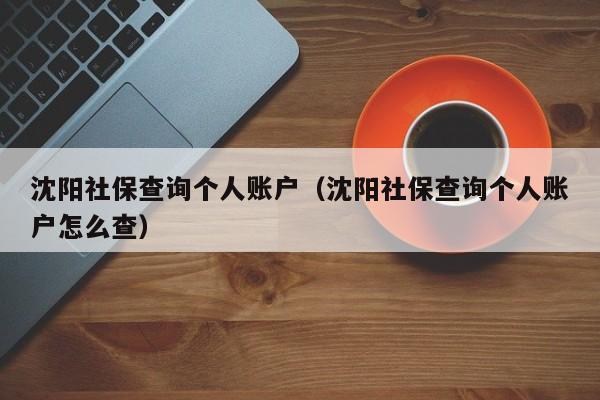 沈阳社保查询个人账户（沈阳社保查询个人账户怎么查）