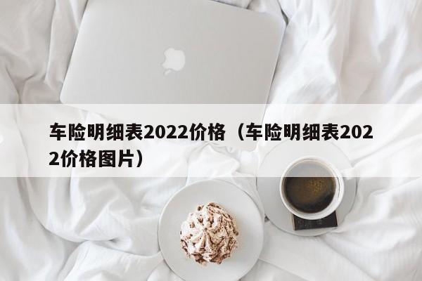 车险明细表2022价格（车险明细表2022价格图片）