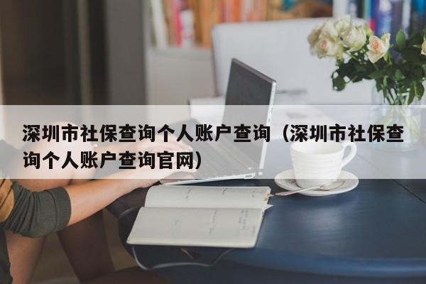 深圳市社保查询个人账户查询（深圳市社保查询个人账户查询官网）