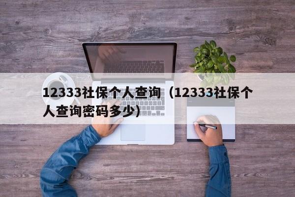 12333社保个人查询（12333社保个人查询密码多少）