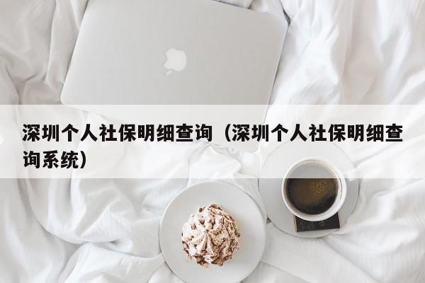 深圳个人社保明细查询（深圳个人社保明细查询系统）