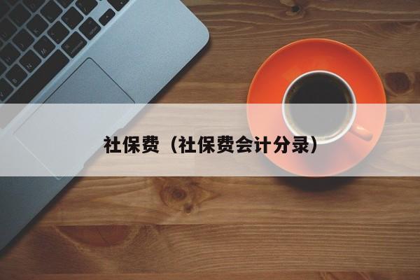 社保费（社保费会计分录）