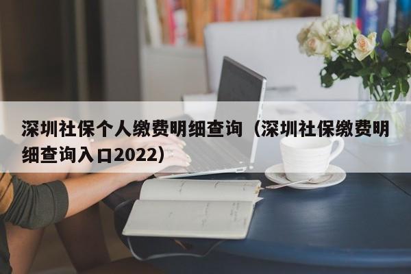 深圳社保个人缴费明细查询（深圳社保缴费明细查询入口2022）