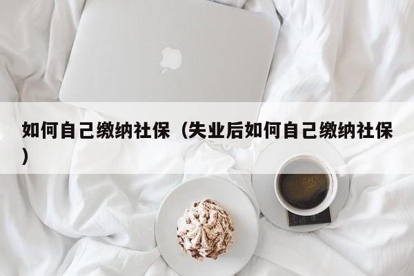 如何自己缴纳社保（失业后如何自己缴纳社保）