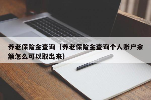 养老保险金查询（养老保险金查询个人账户余额怎么可以取出来）