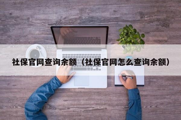 社保官网查询余额（社保官网怎么查询余额）