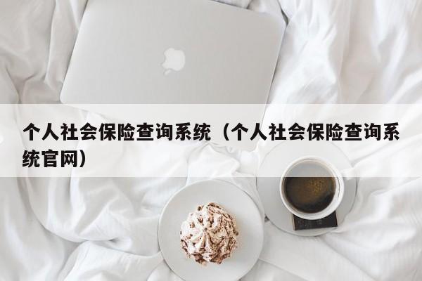 个人社会保险查询系统（个人社会保险查询系统官网）