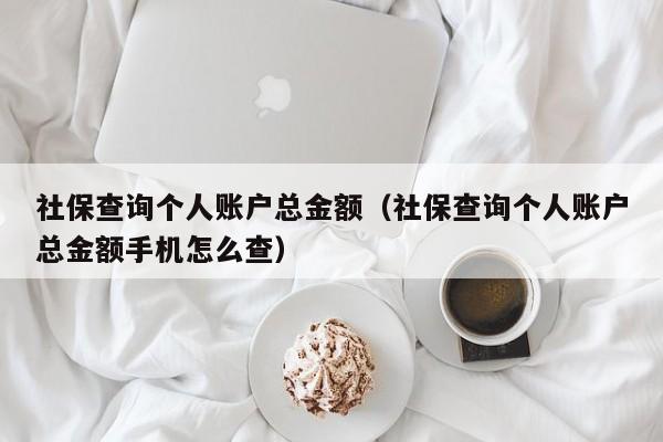 社保查询个人账户总金额（社保查询个人账户总金额手机怎么查）