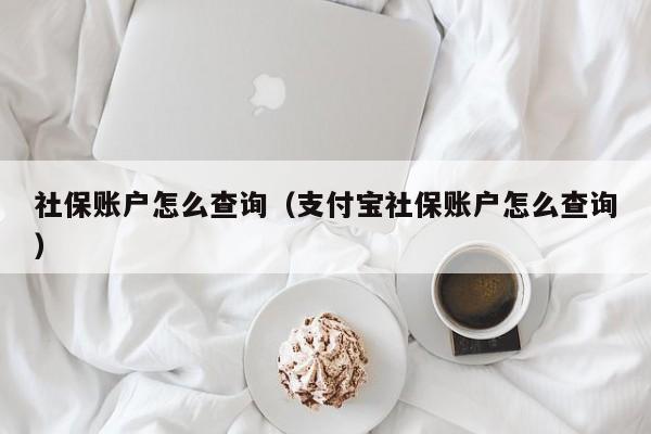 社保账户怎么查询（支付宝社保账户怎么查询）