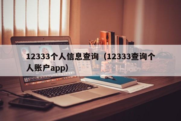 12333个人信息查询（12333查询个人账户app）