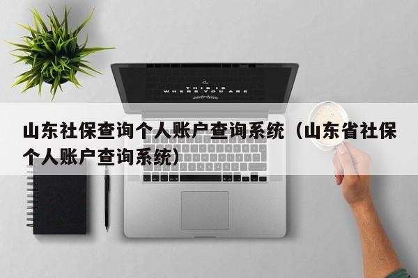 山东社保查询个人账户查询系统（山东省社保个人账户查询系统）