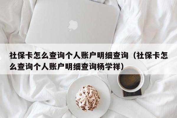 社保卡怎么查询个人账户明细查询（社保卡怎么查询个人账户明细查询杨学祥）