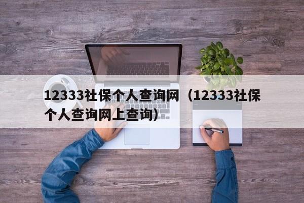 12333社保个人查询网（12333社保个人查询网上查询）