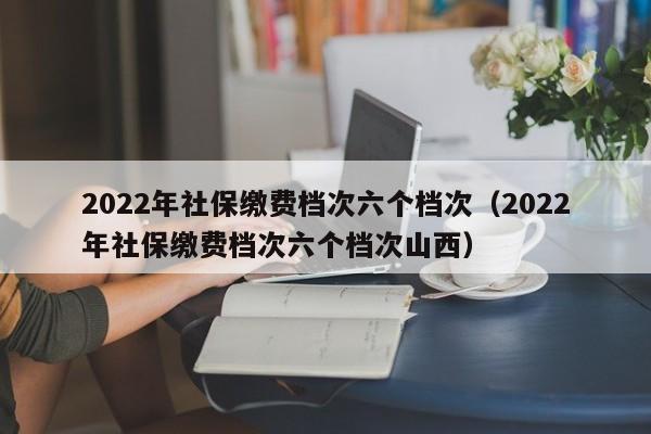 2022年社保缴费档次六个档次（2022年社保缴费档次六个档次山西）