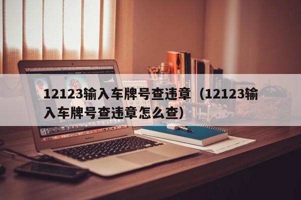 12123输入车牌号查违章（12123输入车牌号查违章怎么查）