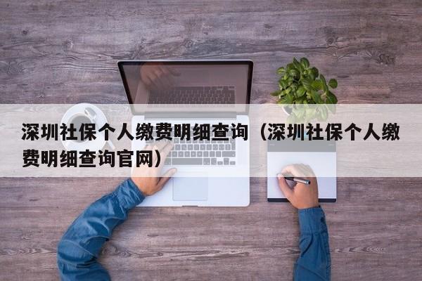 深圳社保个人缴费明细查询（深圳社保个人缴费明细查询官网）