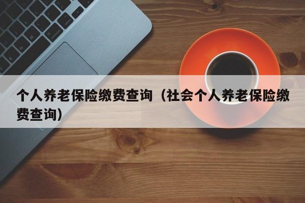 个人养老保险缴费查询（社会个人养老保险缴费查询）