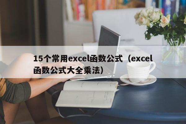 15个常用excel函数公式（excel函数公式大全乘法）