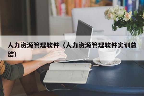 人力资源管理软件（人力资源管理软件实训总结）