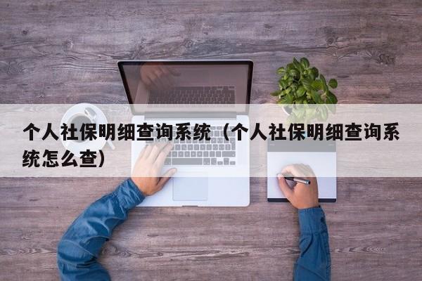 个人社保明细查询系统（个人社保明细查询系统怎么查）