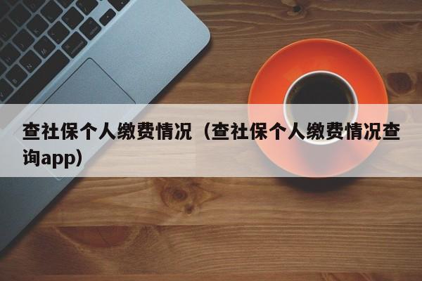 查社保个人缴费情况（查社保个人缴费情况查询app）