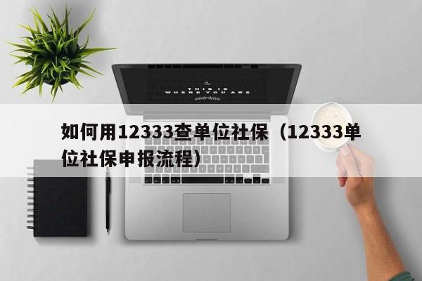 如何用12333查单位社保（12333单位社保申报流程）