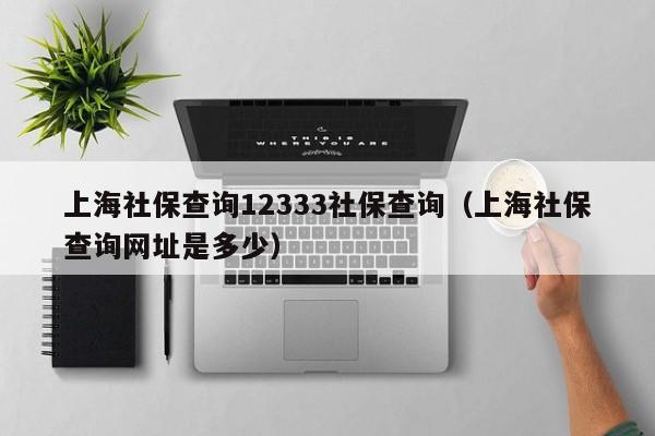 上海社保查询12333社保查询（上海社保查询网址是多少）