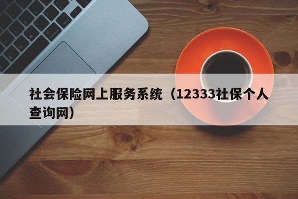 社会保险网上服务系统（12333社保个人查询网）