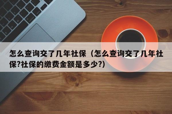 怎么查询交了几年社保（怎么查询交了几年社保?社保的缴费金额是多少?）