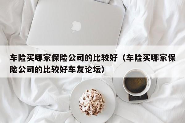 车险买哪家保险公司的比较好（车险买哪家保险公司的比较好车友论坛）