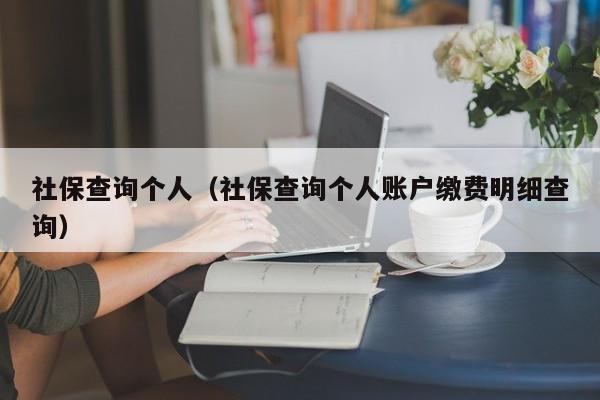 社保查询个人（社保查询个人账户缴费明细查询）