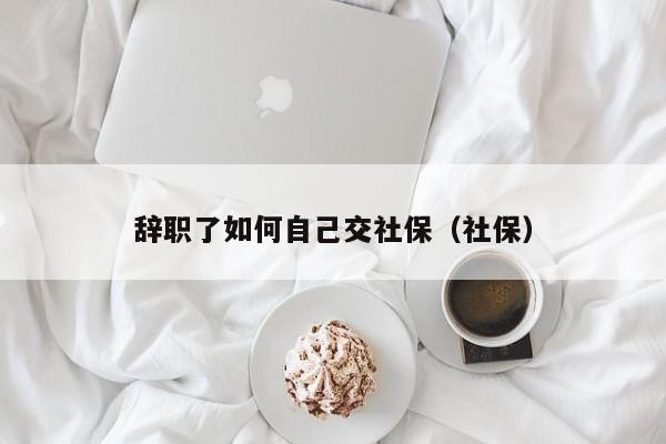 辞职了如何自己交社保（社保）