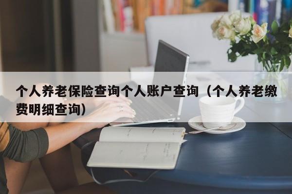 个人养老保险查询个人账户查询（个人养老缴费明细查询）