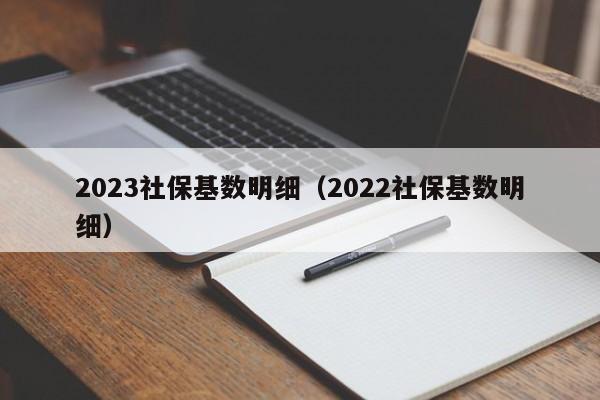 2023社保基数明细（2022社保基数明细）