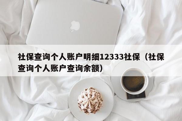 社保查询个人账户明细12333社保（社保查询个人账户查询余额）