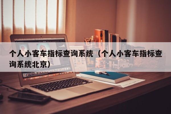 个人小客车指标查询系统（个人小客车指标查询系统北京）