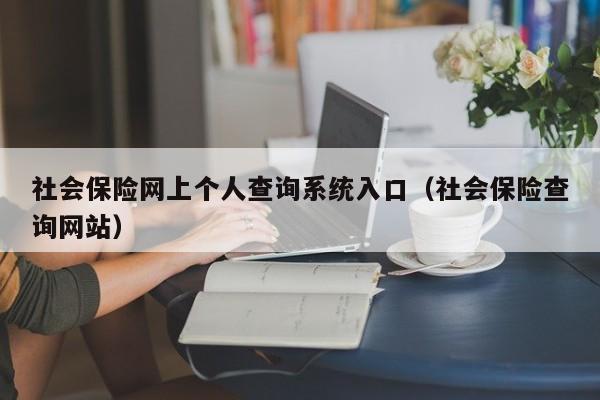 社会保险网上个人查询系统入口（社会保险查询网站）