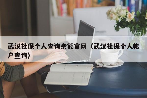 武汉社保个人查询余额官网（武汉社保个人帐户查询）